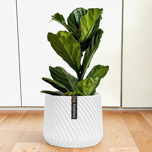 Large 12 Inch Planter with Drainage Plug for Indoor & Outdoor Use