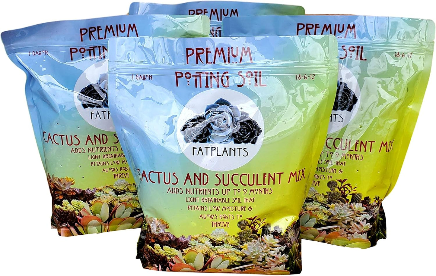 Premium Cacti and Succulent Potting Mix Soil for Thriving Plants