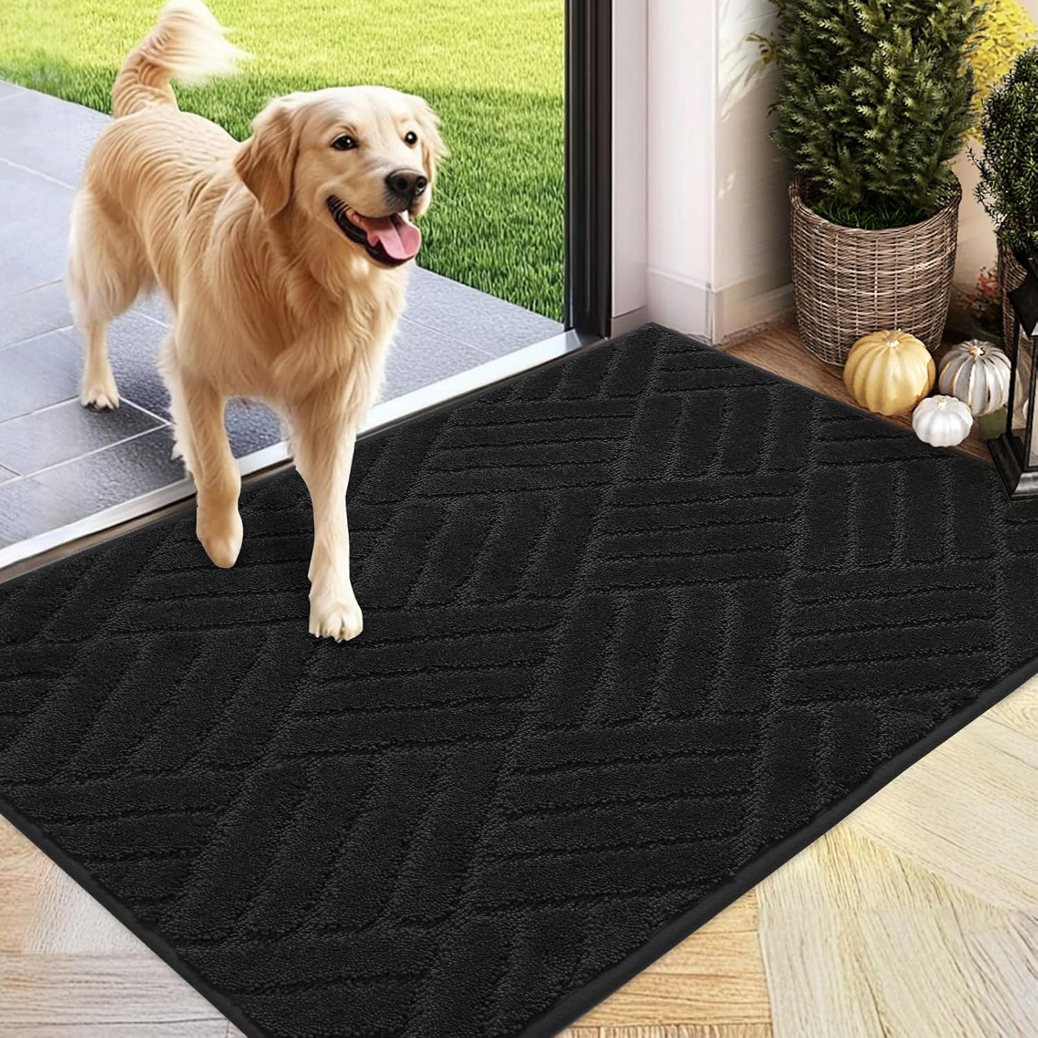 Absorbent Dirt Trapper Welcome Door Mat for Indoor Use