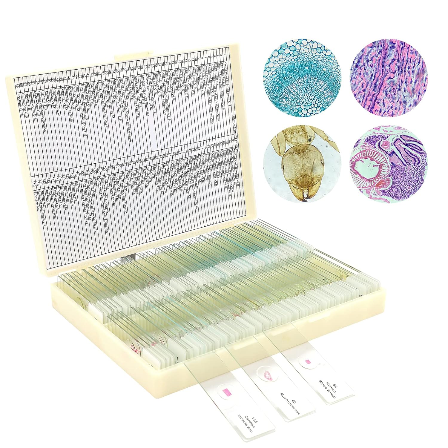 LAKWAR 120 Microscope Slides for Kids and Adults Education