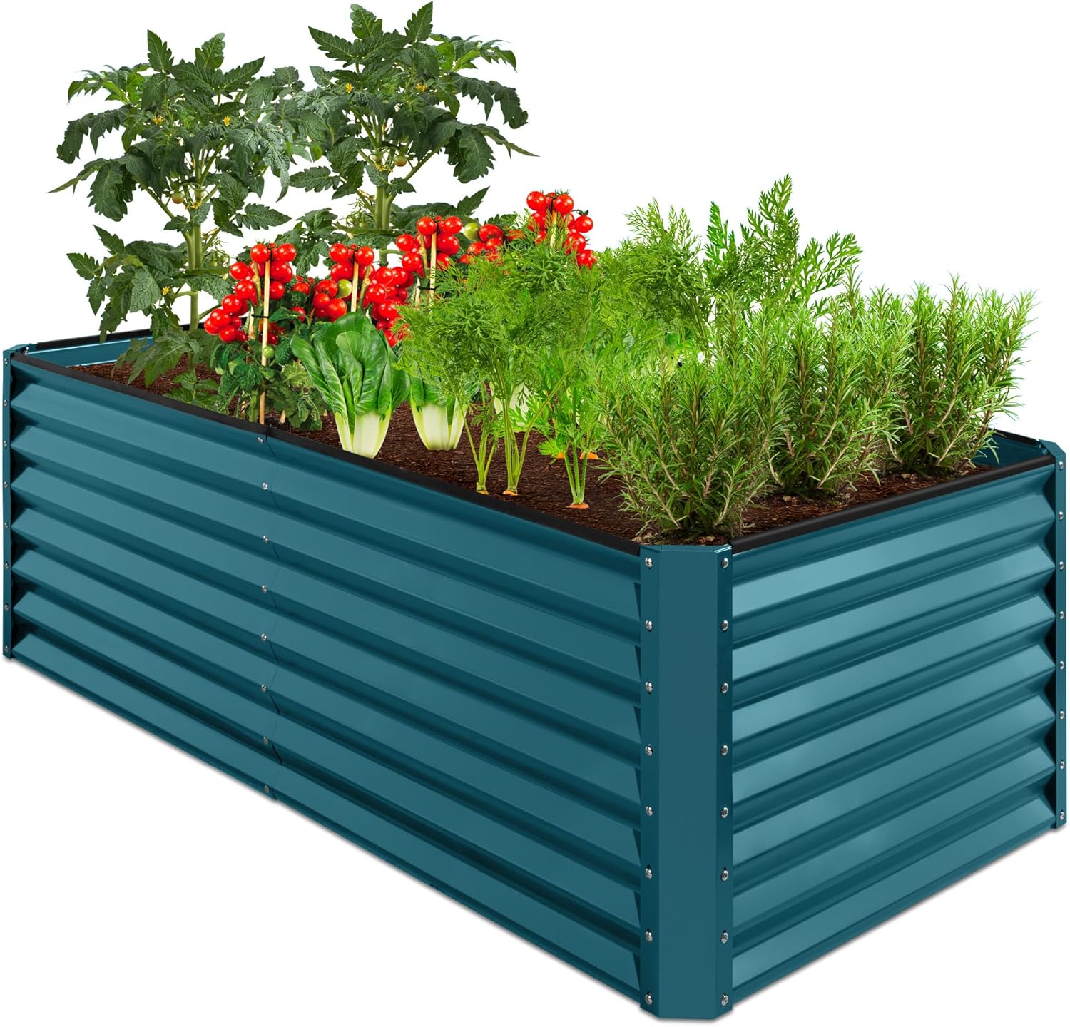 Outdoor Metal Raised Garden Bed for Vegetables and Flowers