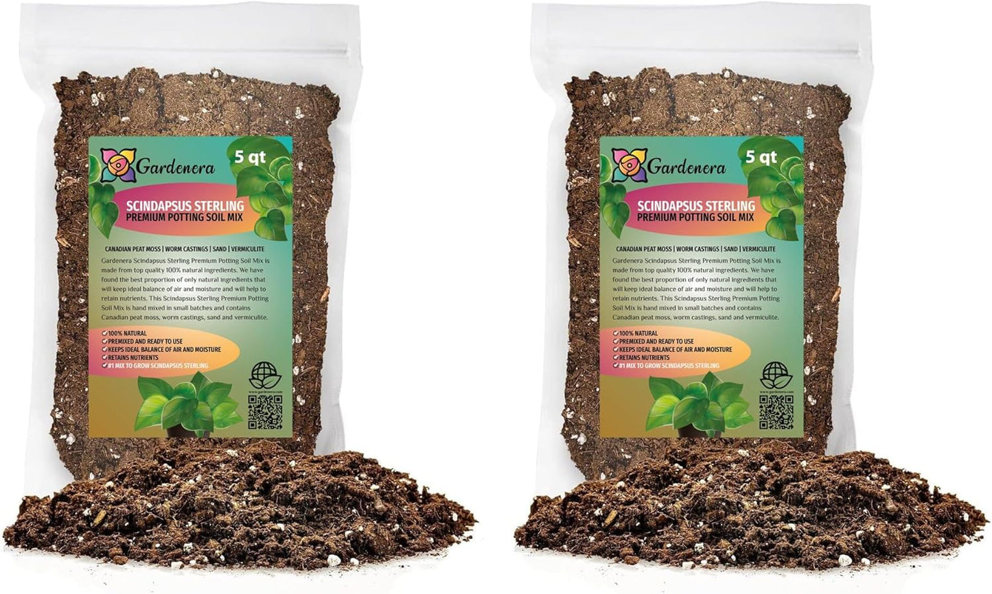Gardenera Scindapsus Sterling Potting Soil for Thriving Plants