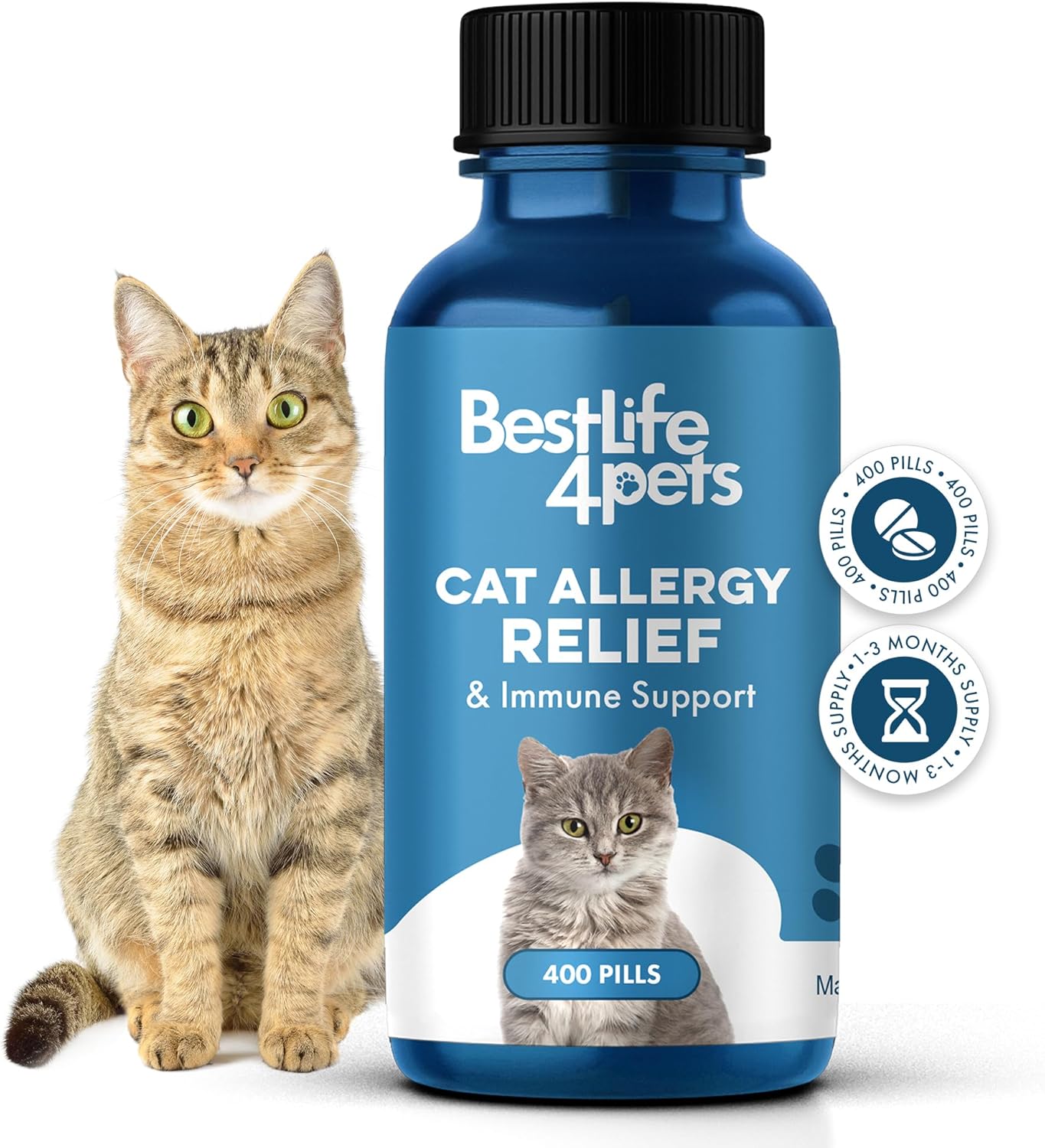 Cat Allergy Relief & Immune Support for Seasonal Allergies