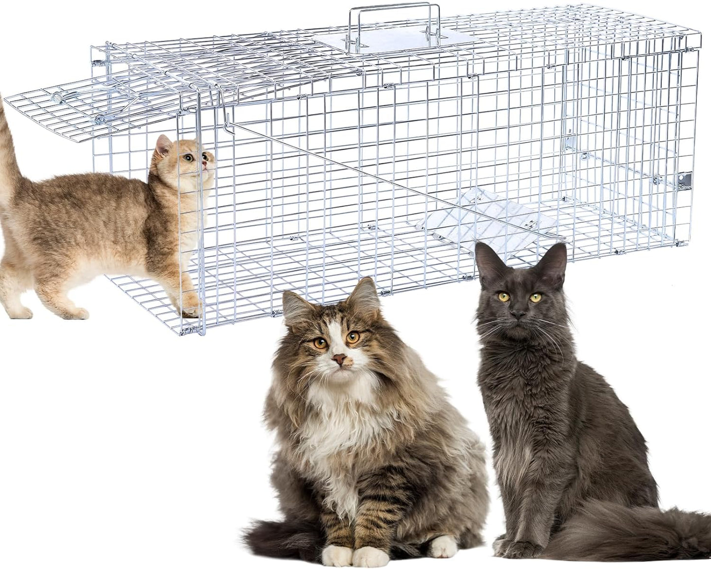 32in Humane Animal Trap for Stray Cats and Small Wildlife