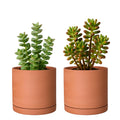 D'vine Dev Small 5 Inch Terracotta Plant Pot Set of 2 - Minimal Indoor