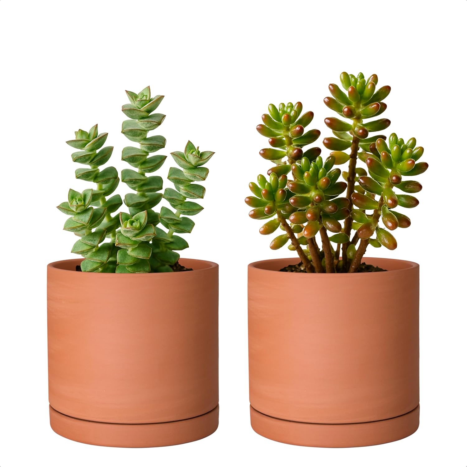 D'vine Dev Small 5 Inch Terracotta Plant Pot Set of 2