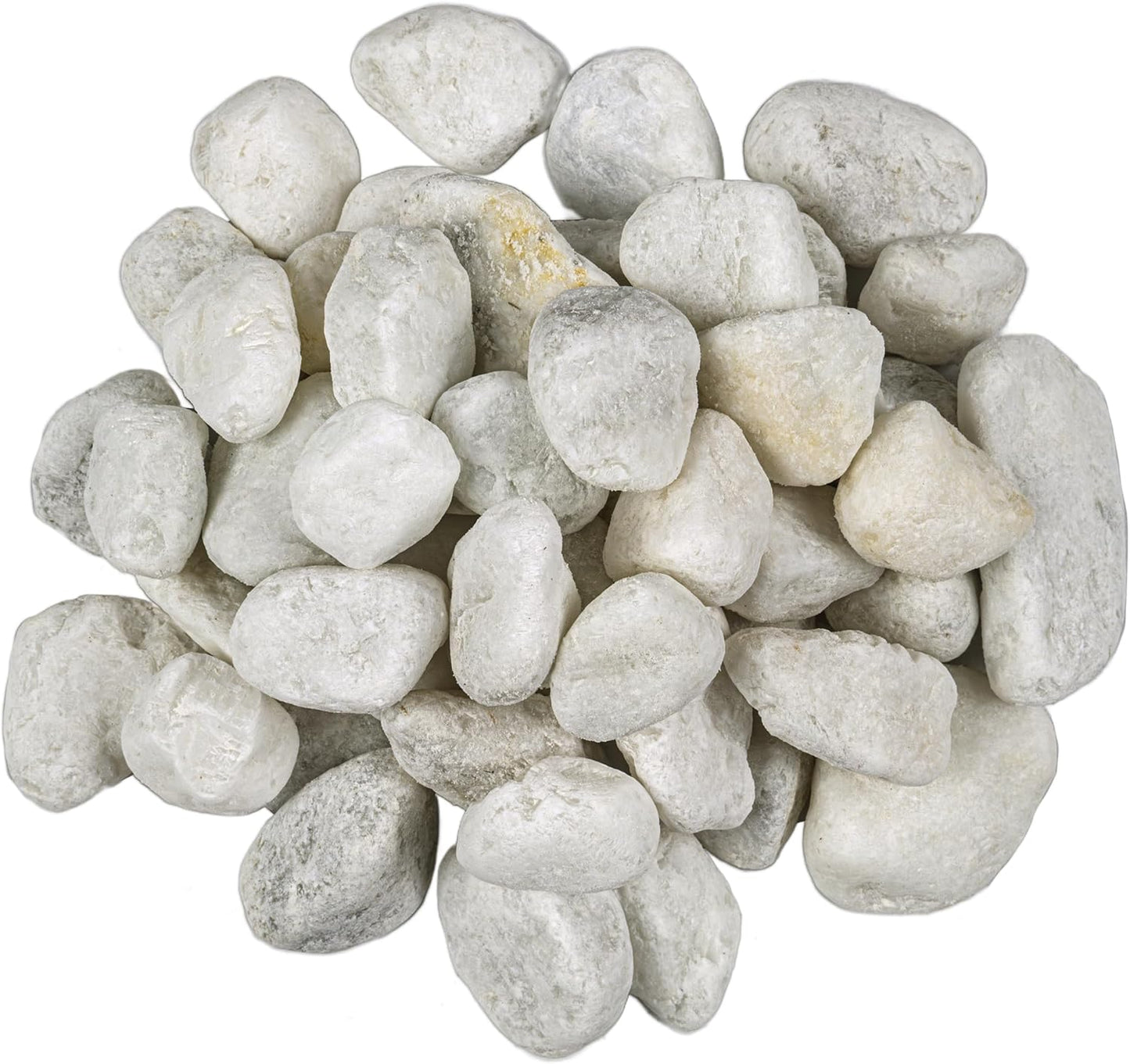 MSI Natural Decorative Tumbled White Pebbles for Unique Accents