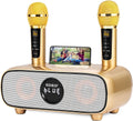 Karaoke Machine for Adults and Kids - Portable Bluetooth PA System