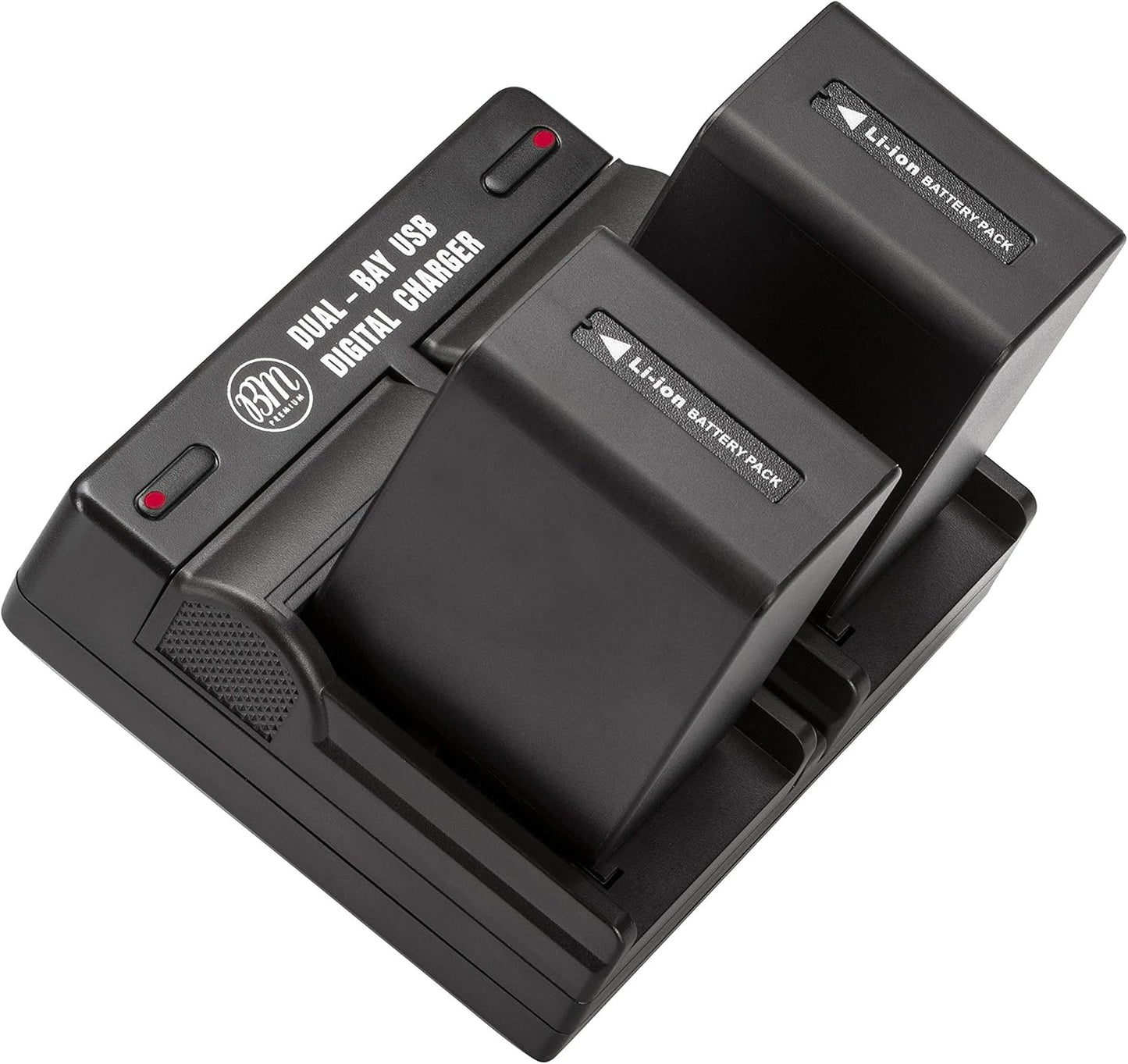 BM Premium NP-FV100A High Capacity Batteries & Dual Charger