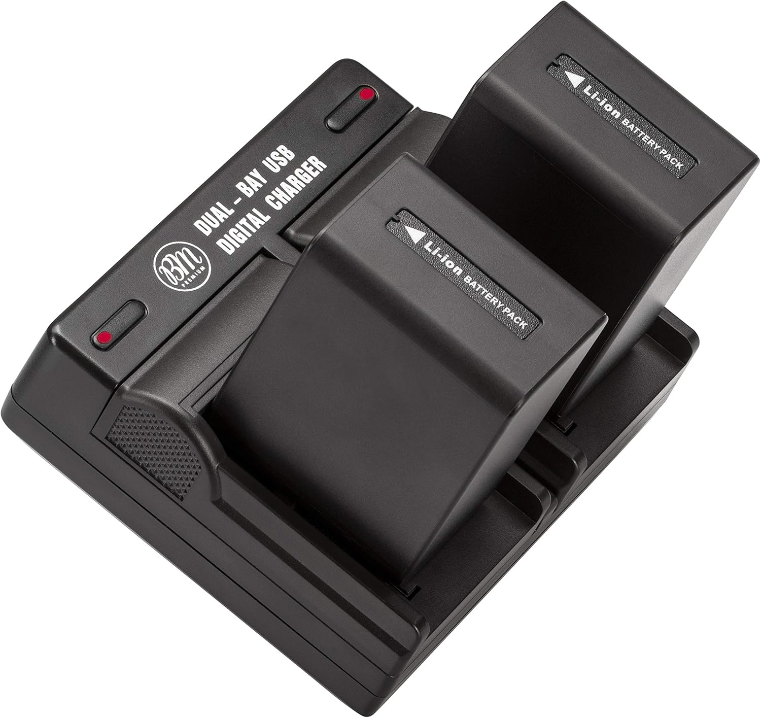 BM Premium NP-FV100A High Capacity Batteries & Dual Charger