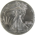 2023 American Silver Eagle Uncirculated Bullion $1 Coin - Investment
