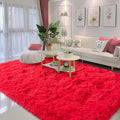 Area Rug 6x9 for Living Room Anti Slip - Fluffy Washable 6 by 9 Carpet