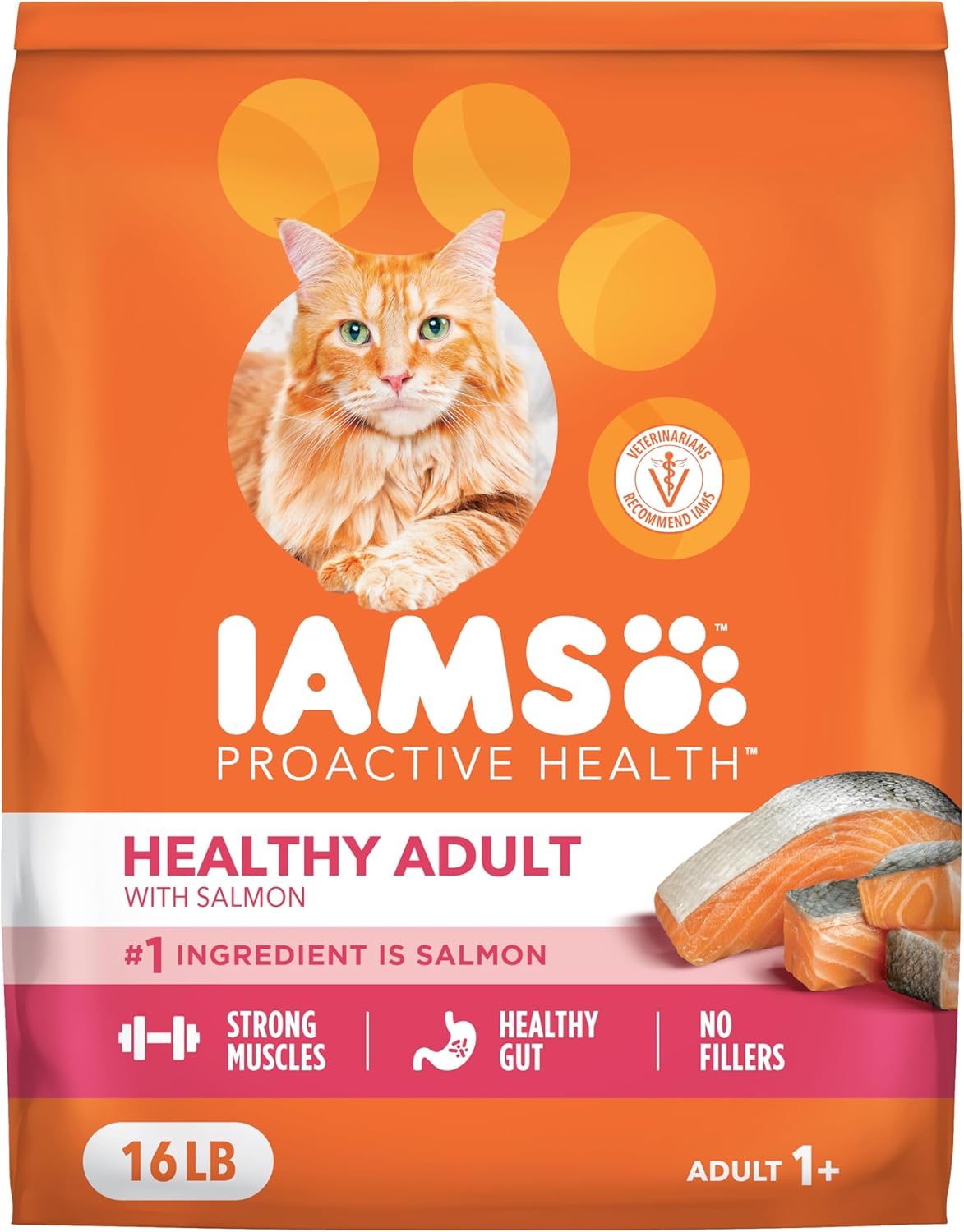 IAMS Proactive Health Adult Dry Cat Food with Real Salmon 16 lb