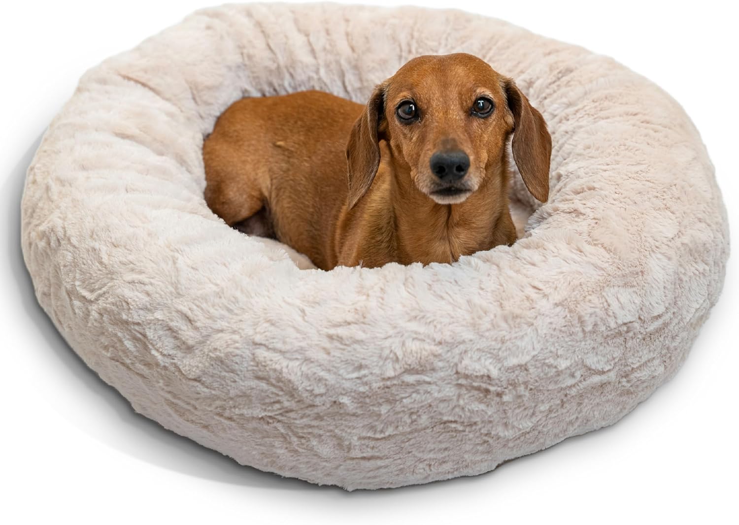 Calming Donut Dog and Cat Bed for Cozy Anxiety Relief