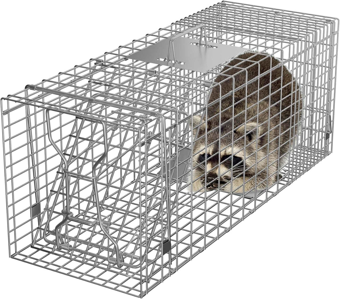 Humane Live Animal Cage Trap for Rabbits and Stray Cats