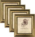 8x8 Picture Frame 4 Set Ornate Vintage Gold Frames - Classic Wall