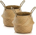 Woven Seagrass Plant Basket 2 Pack (M) - Handmade Versatile Storage