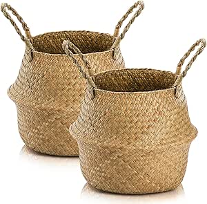 Woven Seagrass Plant Basket with Handles for Storage and Decor