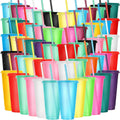 Tumbler with Straw and Lid 60 Pack Bulk Glitter Plastic Cups