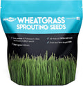 Wheatgrass Seeds Non GMO Grown in USA - Easy to Grow (10 Pound)
