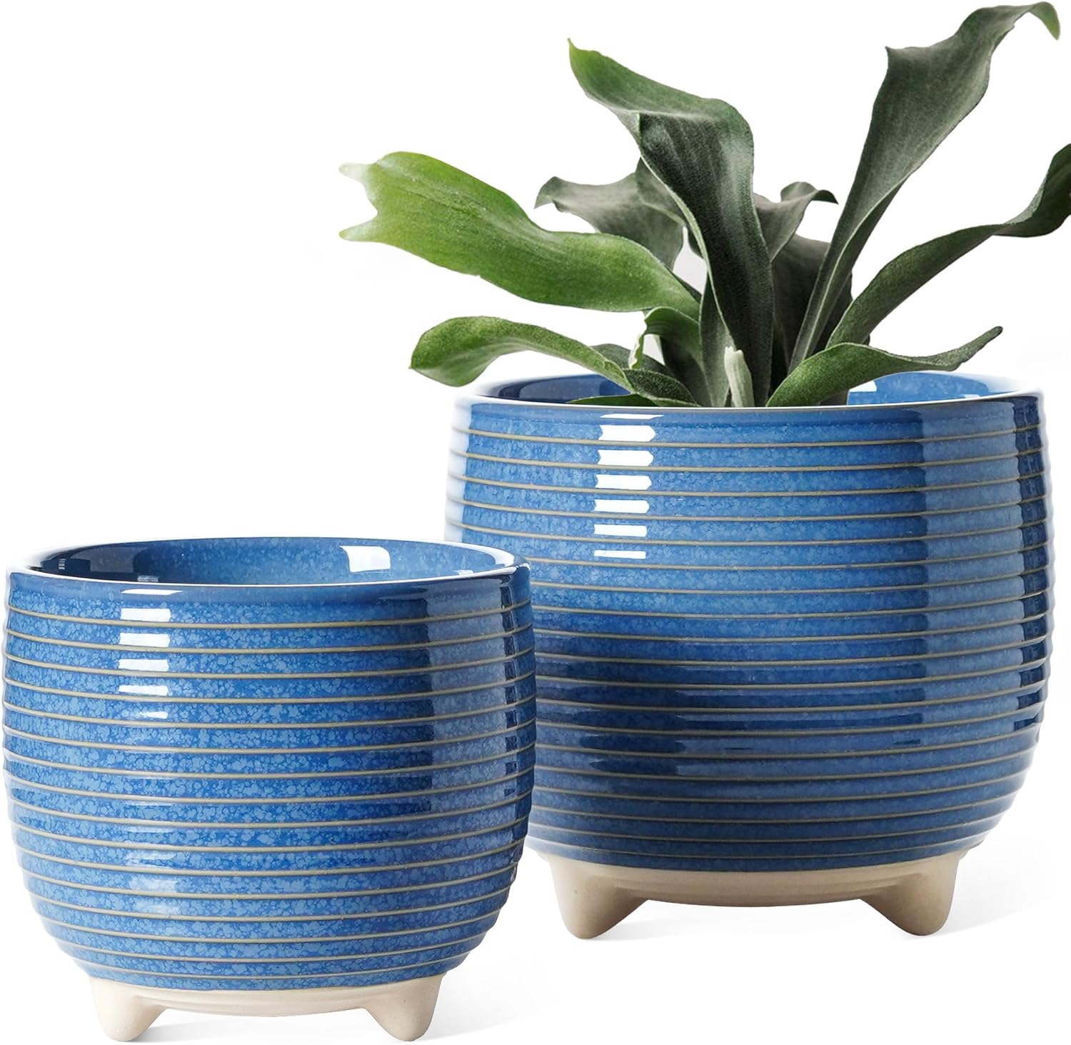 LE TAUCI Ceramic Plant Pots: Modern Footed Planters for Home