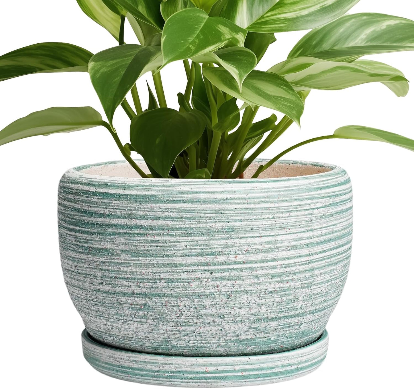 SQOWL Ceramic Planters for Indoor Plants - Modern 8 Inch Pot