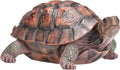 Tortoise Turtle Statue Resin Garden Sculpture Large - Realistic Detail