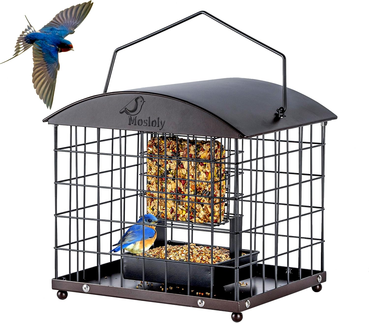 Mosloly Caged Suet Feeders: Squirrel-Proof Bird Feeders