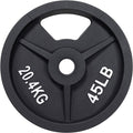 Cast Iron Weight Plate for Strength Training - Black Baked Finish