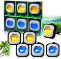 Car Air Freshener Vent Clips 6 Pack - Long Lasting Scent (Hawaii