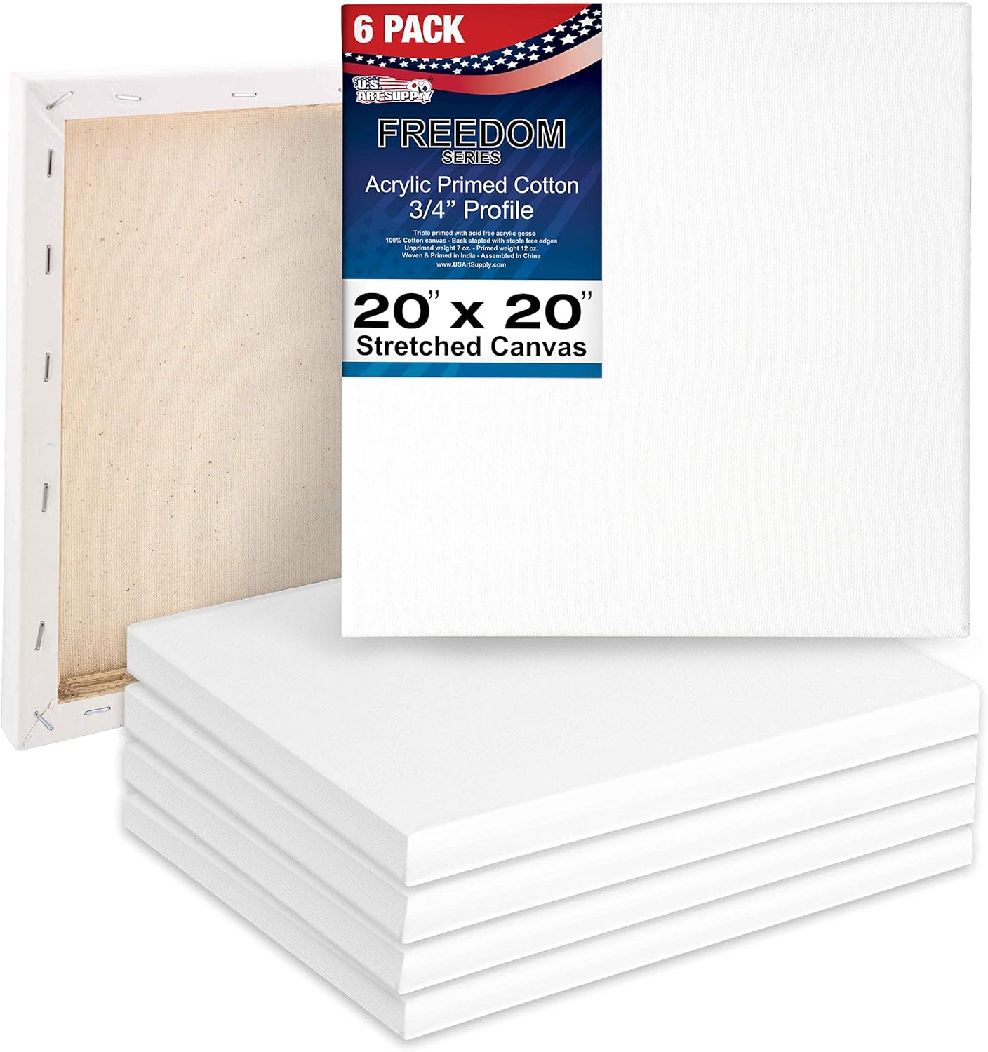 U.S. Art Supply 20 x 20 inch Stretched Canvas 6-Pack