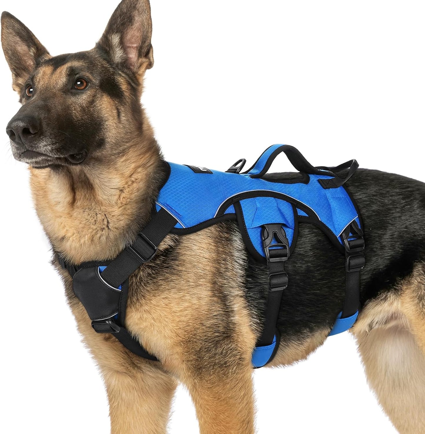 Escape Proof Dog Harness for Large Dogs by rabbitgoo - XL Blue