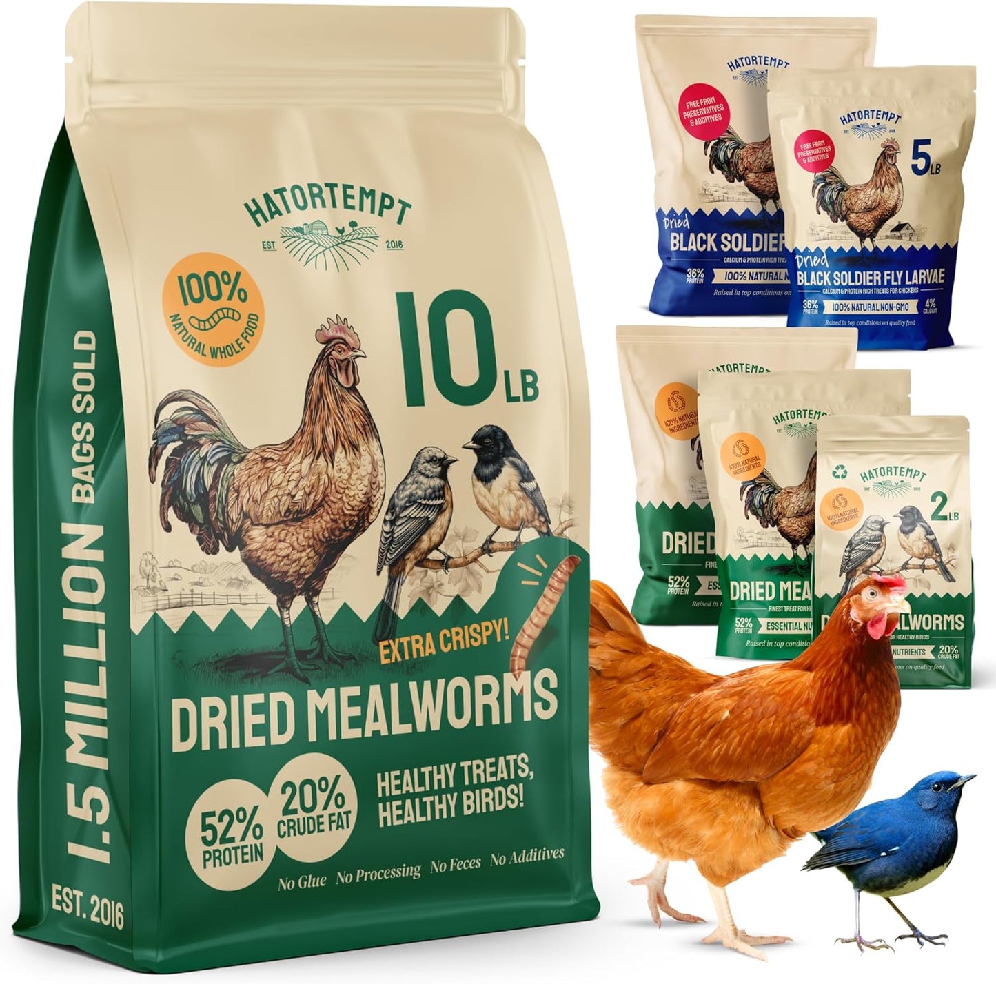 Bulk Dried Mealworms for Chickens, Ducks & Wild Birds - 10 Lb