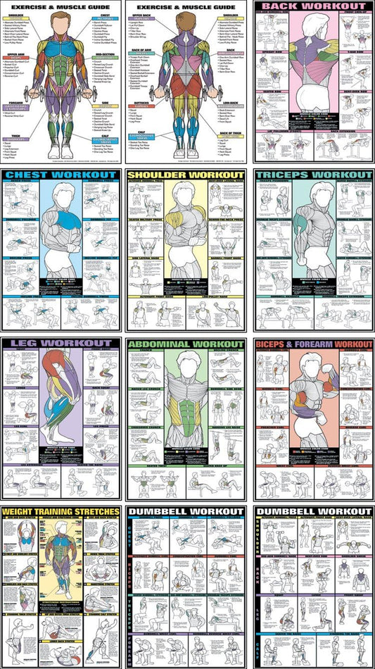 Fitnus Chart Flip Chart - 12-in-1 Fitness Guide