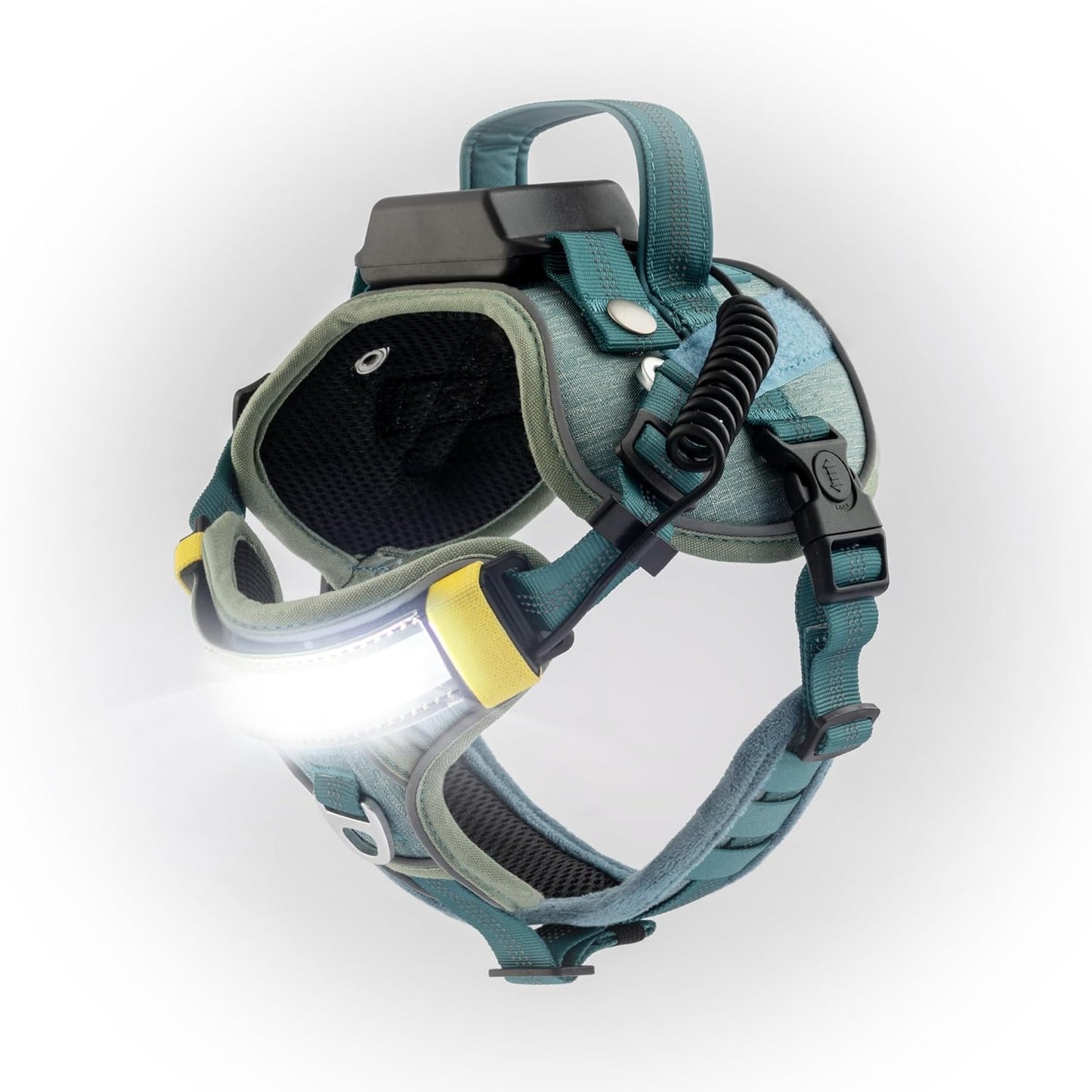 Lumi One LED Dog Harness for Night Safety and Visibility