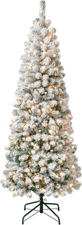 6 ft Pre-Lit Flocked Acacia Slim Artificial Christmas Tree - Compact