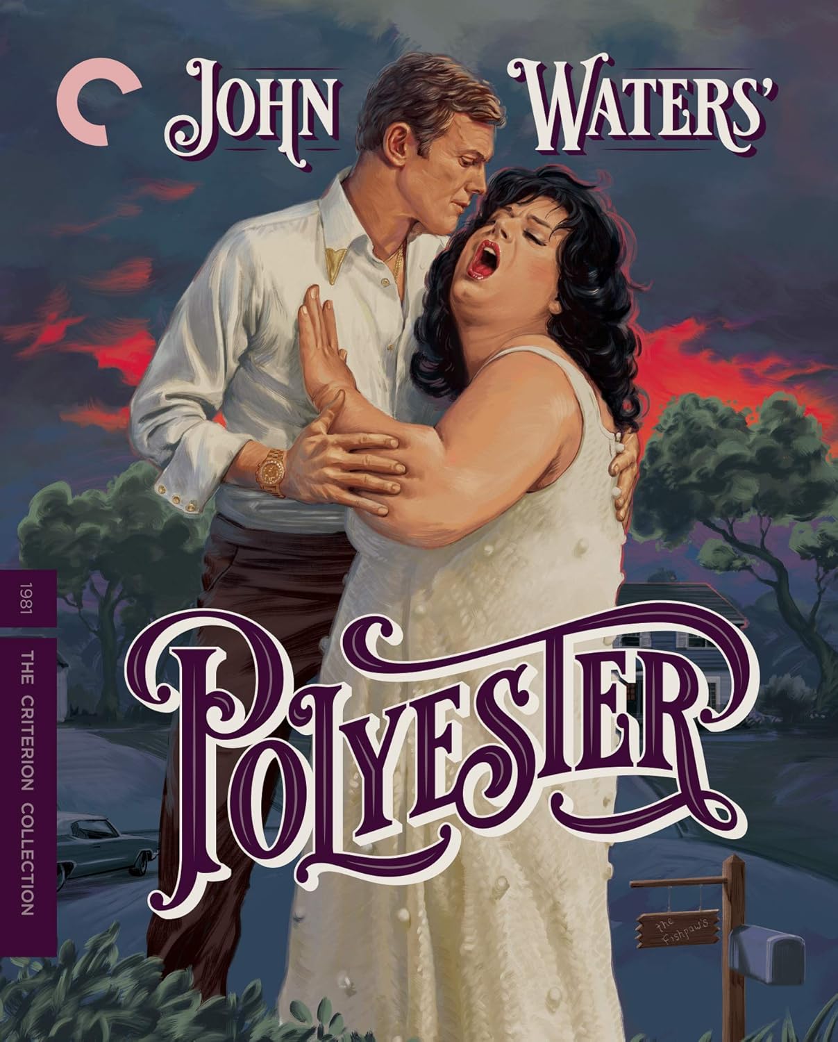 Polyester by John Waters - A Unique Cinematic Experience