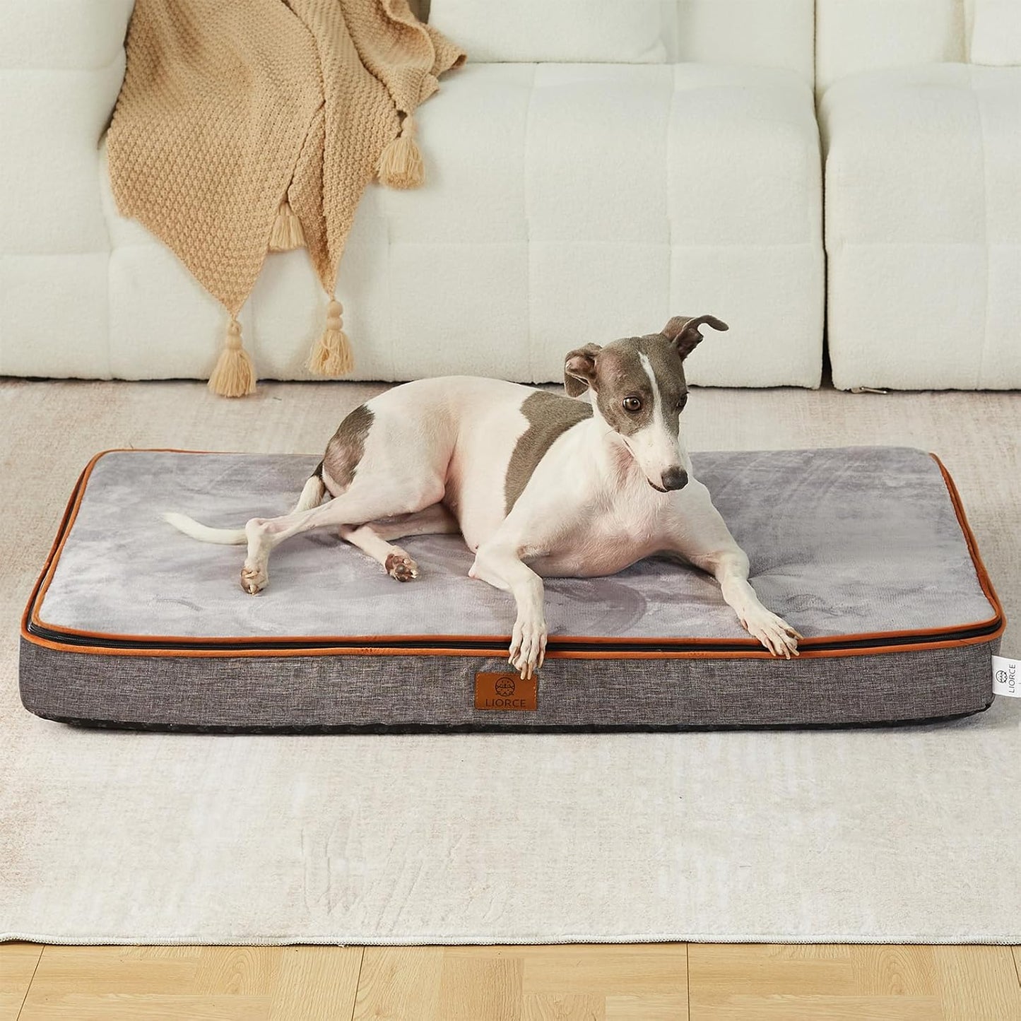 Memory Foam Large Dog Bed for Ultimate Comfort and Support