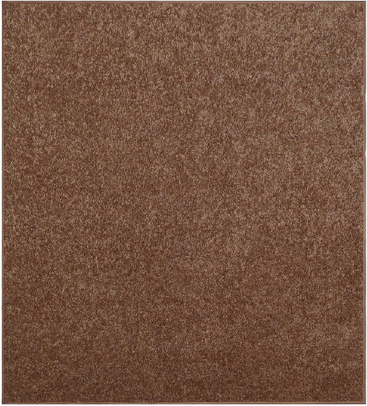 Pet Friendly Solid Color Area Rugs for Modern Home Decor