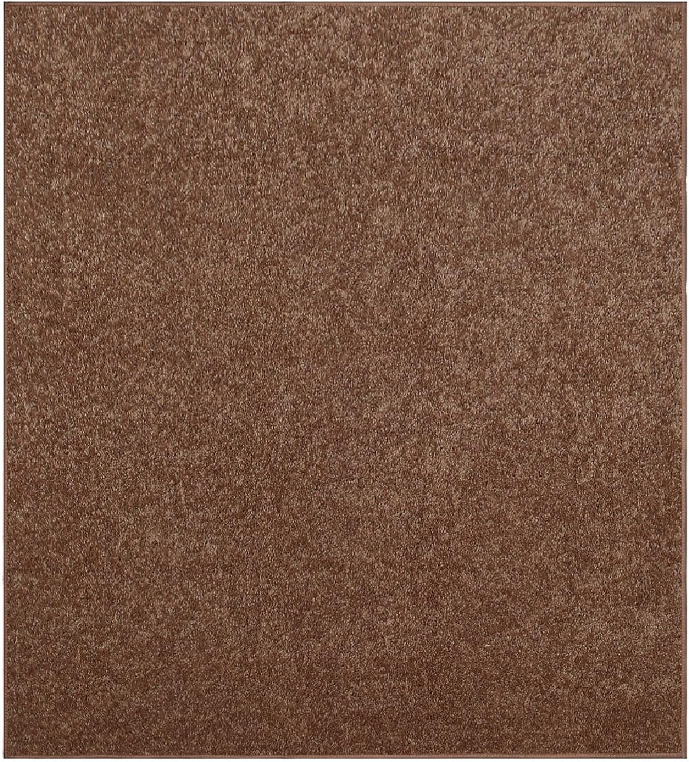 Ambiant Pet Friendly Solid Color Area Rugs for Every Room