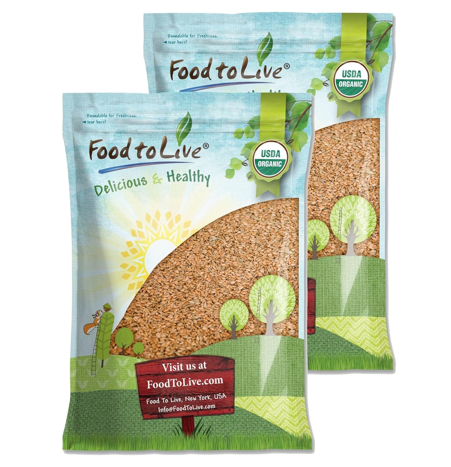 Organic Hulled Barley for Home Brewing and Cooking Needs