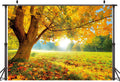 10x8FT Autumn Golden Maple Photography Background for Events