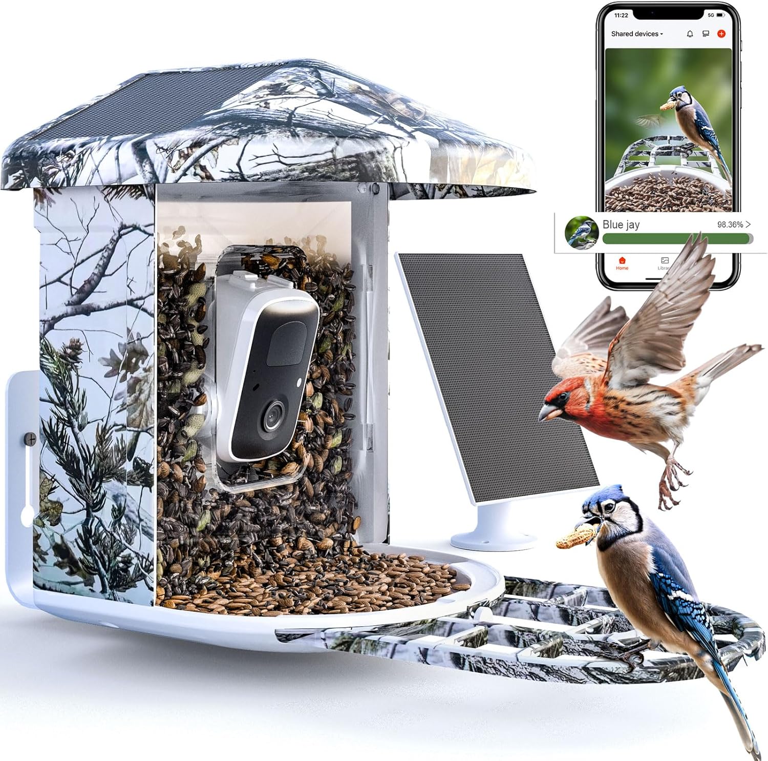 Solar WiFi Bird Feeder: Garden Watching Joy