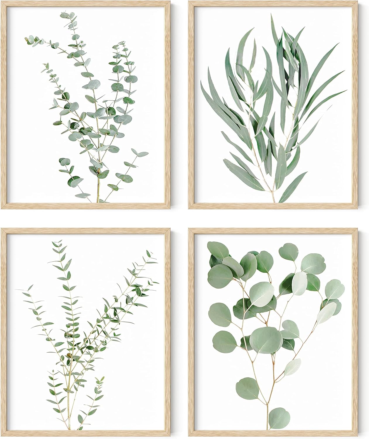Botanical Plant Wall Art Prints - Set of 4 for Home Decor