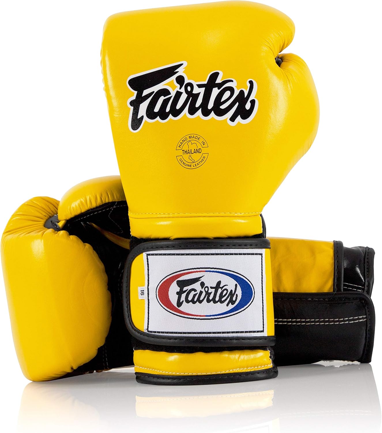 Fairtex BGV9 Muay Thai Gloves for Professional Boxers & Trainers