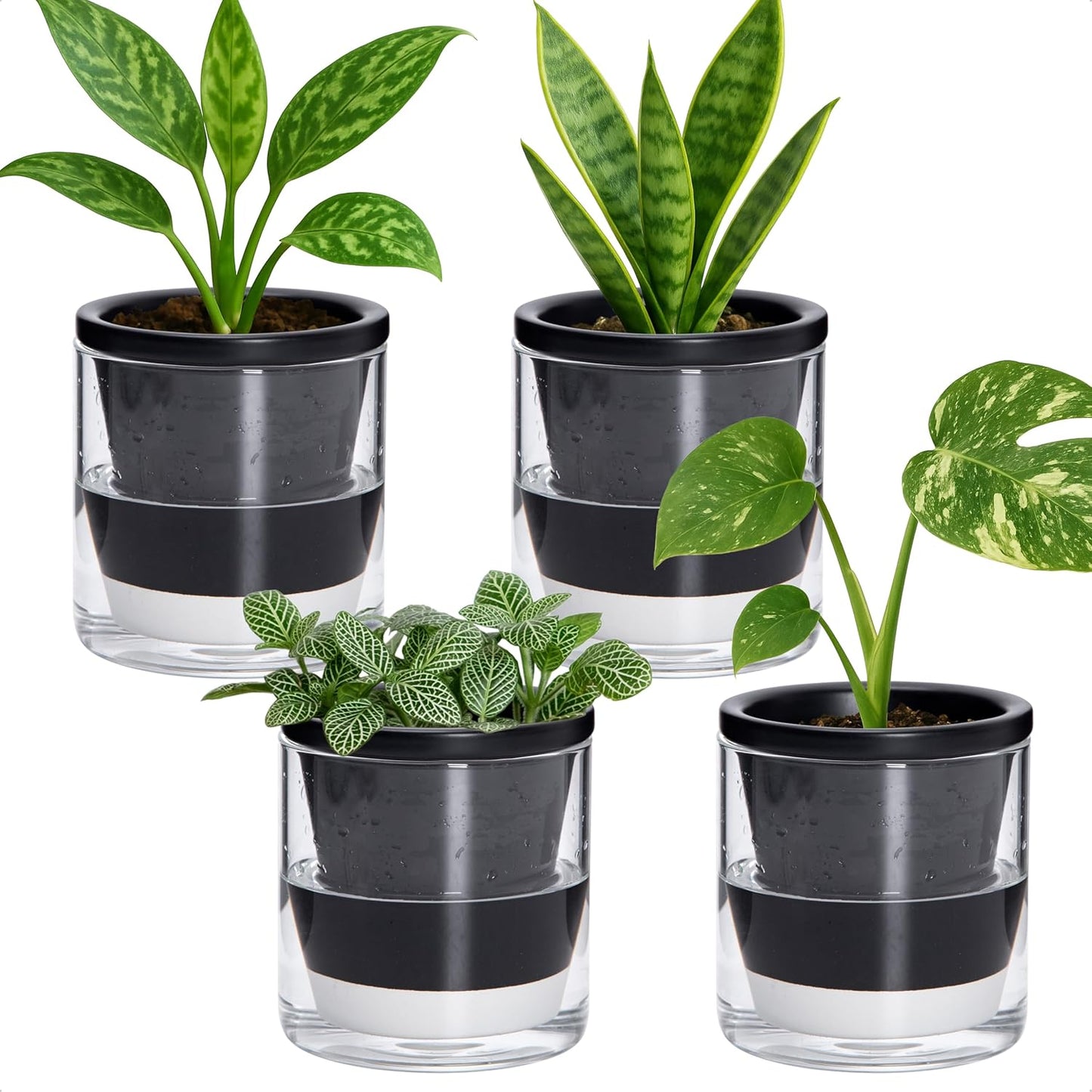 D'vine Dev Self Watering Planter Set of 4, 4in Black