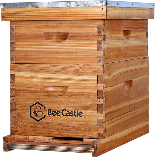 BeeCastle 10-Frames Complete Beehive Kit with Beeswax Coating