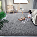 DweIke Fluffy Shaggy Area Rug 6 ft x 9 ft - Plush Grey for Living Room