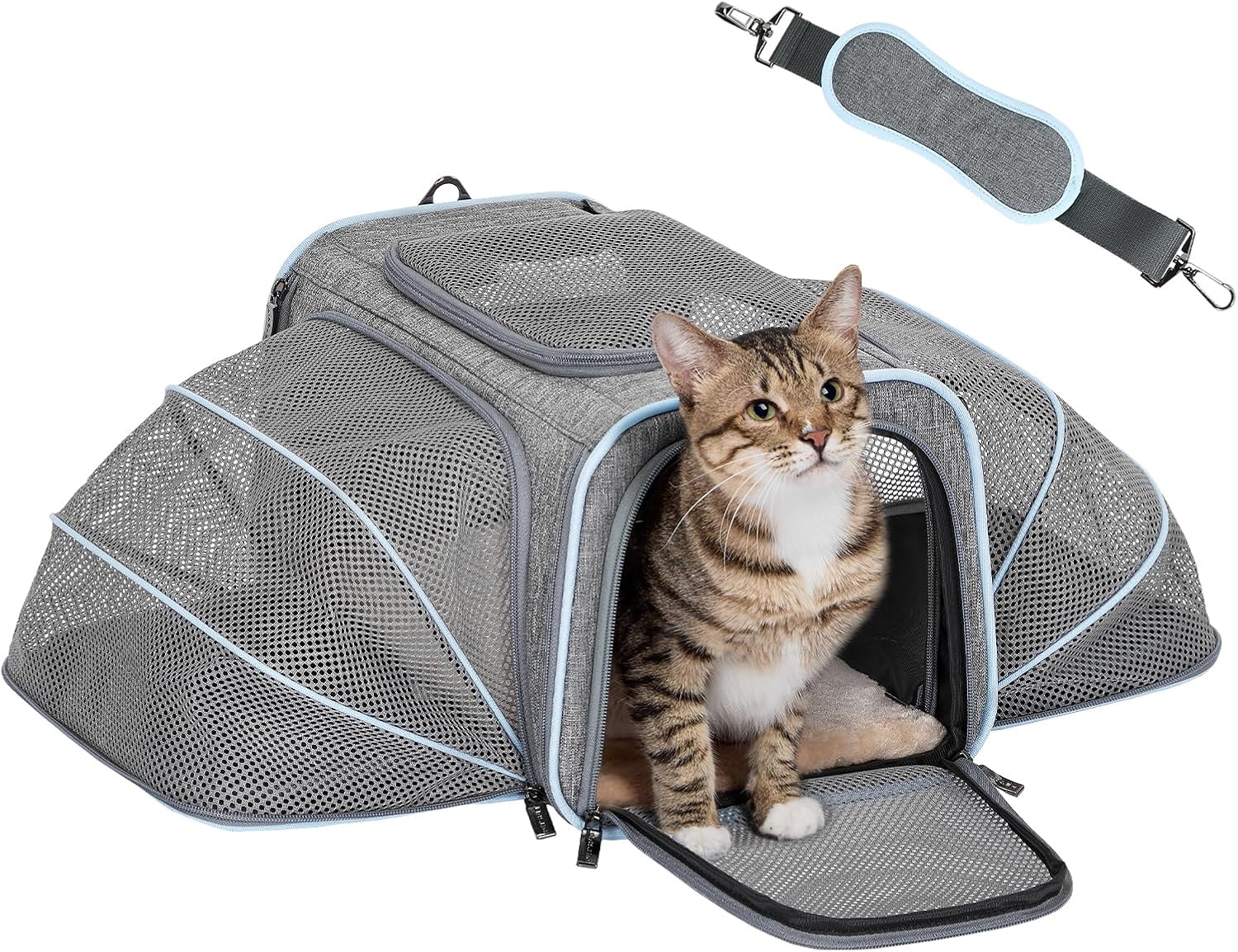 Expandable Small Cat Carrier for Travel - Airline Approved