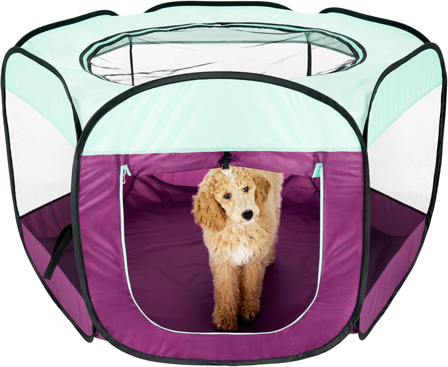 Furhaven Portable Dog Playpen Tent for Indoor and Outdoor Use